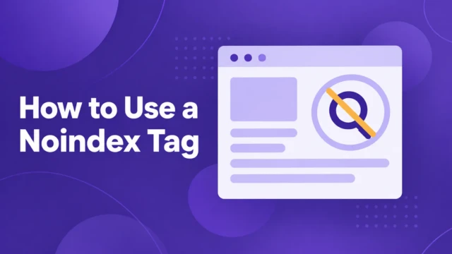 how to use noindex tag cover