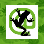 screaming frog featured image