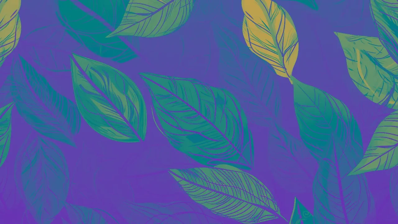 final duotone image - duotone leaves