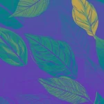 final duotone image - duotone leaves