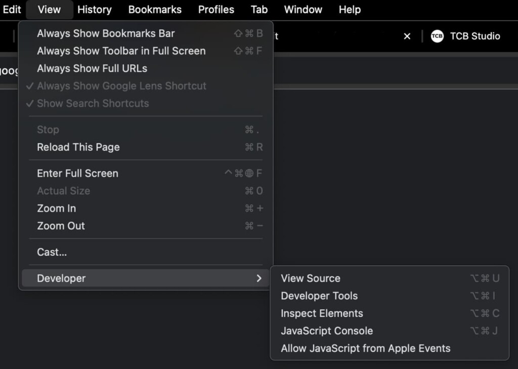 View source in Chrome