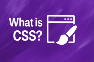 What is CSS? Complete Overview for Beginners