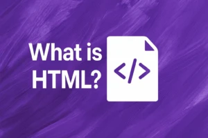 What is HTML? Quick Overview for Beginners