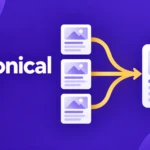 canonical url cover
