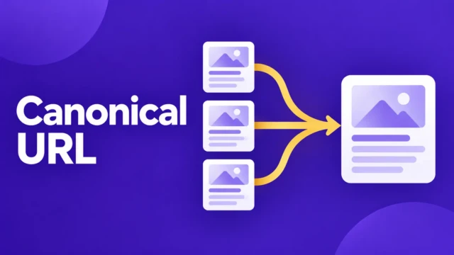 canonical url cover
